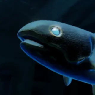 Coelacanth Icon